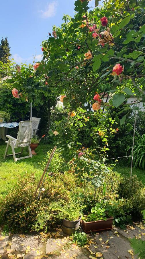 B&B Villa Giardini Susanna Gattico ภายนอก รูปภาพ