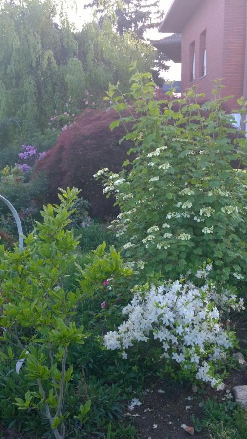B&B Villa Giardini Susanna Gattico ภายนอก รูปภาพ