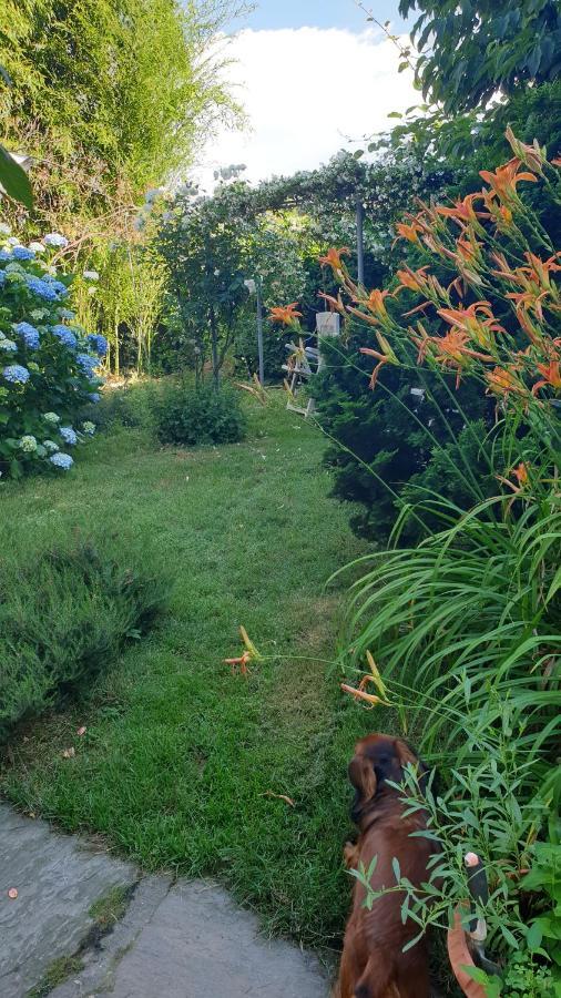 B&B Villa Giardini Susanna Gattico ภายนอก รูปภาพ