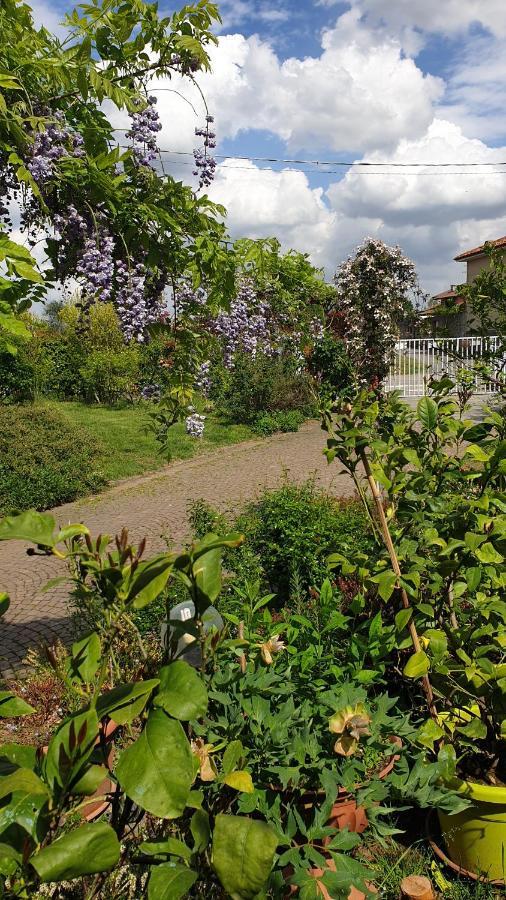 B&B Villa Giardini Susanna Gattico ภายนอก รูปภาพ