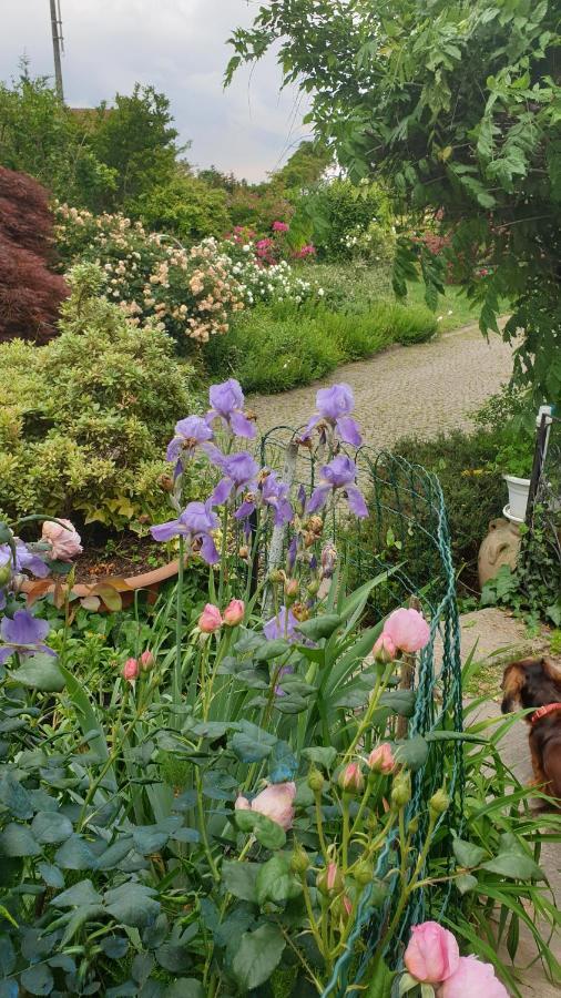 B&B Villa Giardini Susanna Gattico ภายนอก รูปภาพ