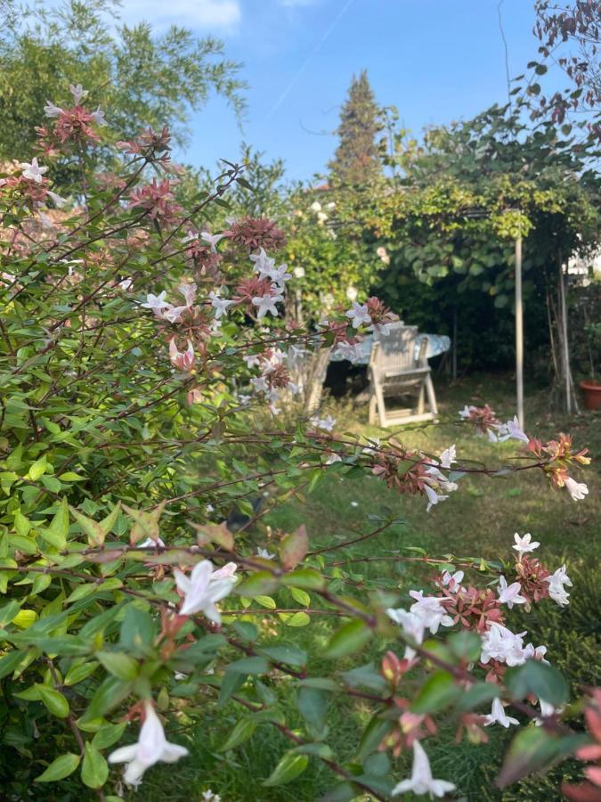 B&B Villa Giardini Susanna Gattico ภายนอก รูปภาพ