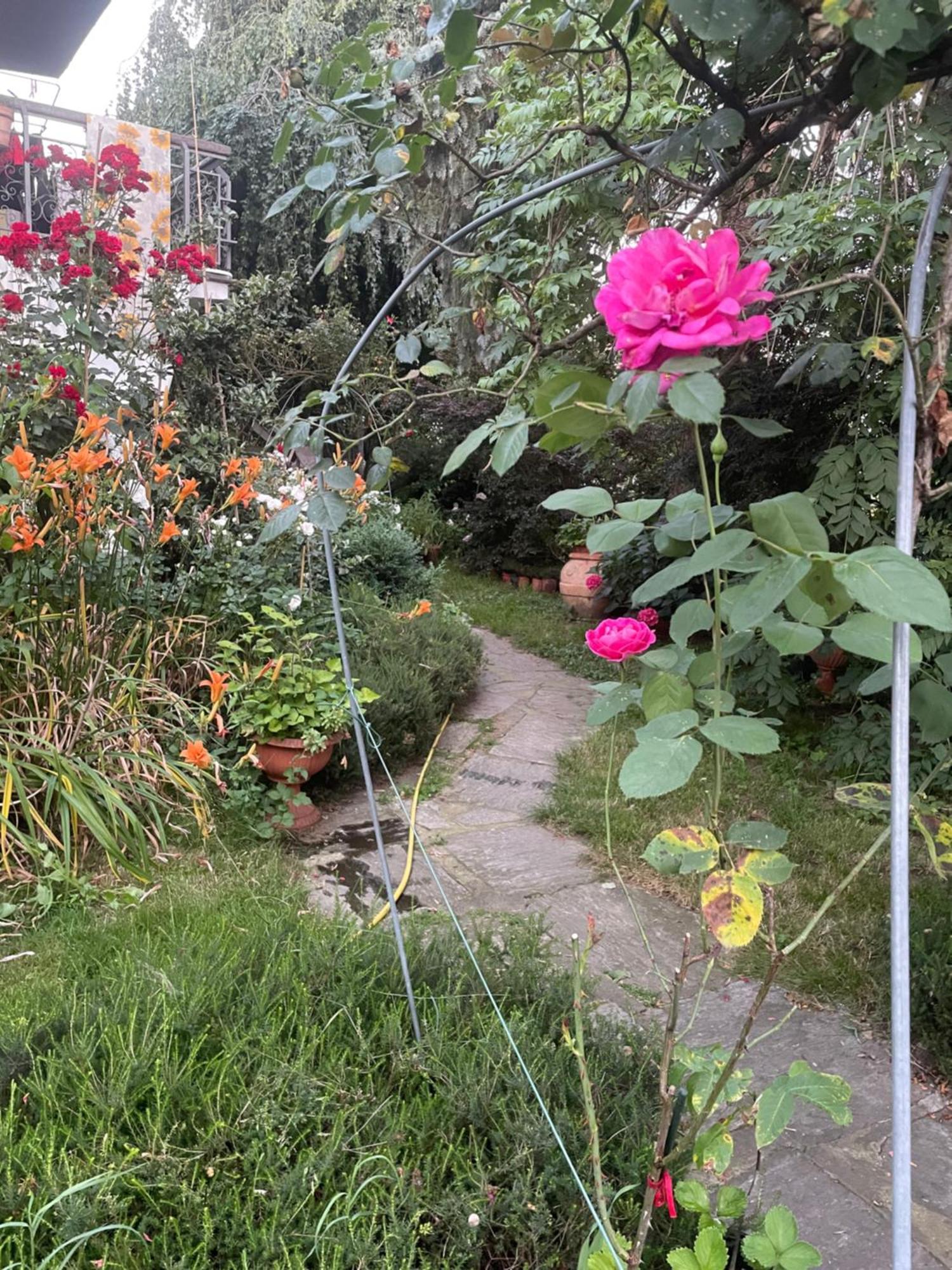 B&B Villa Giardini Susanna Gattico ภายนอก รูปภาพ